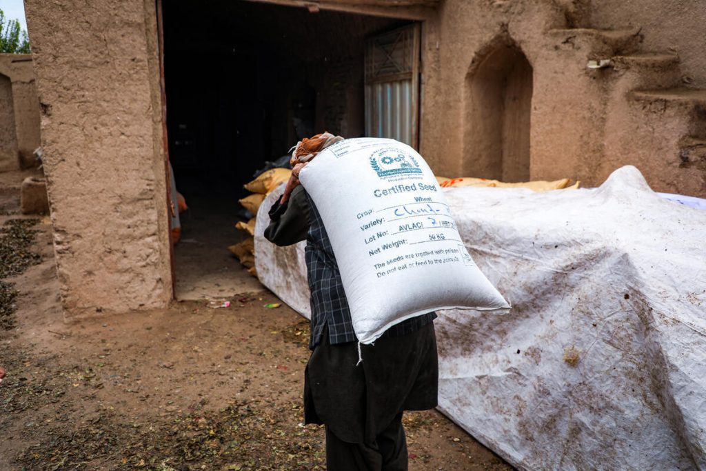 Man in Afghanistan tilt zak met voedsel