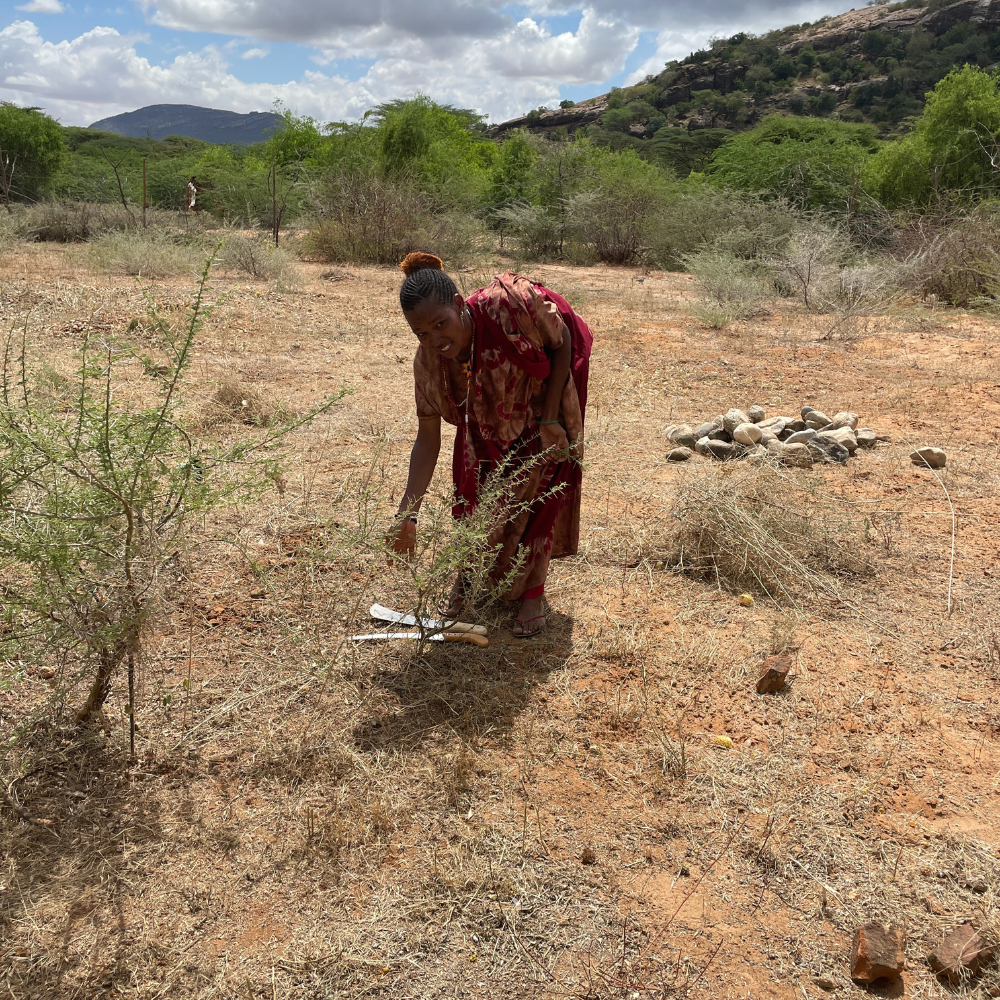 Vrouw is bezig op het land in Marsabit County