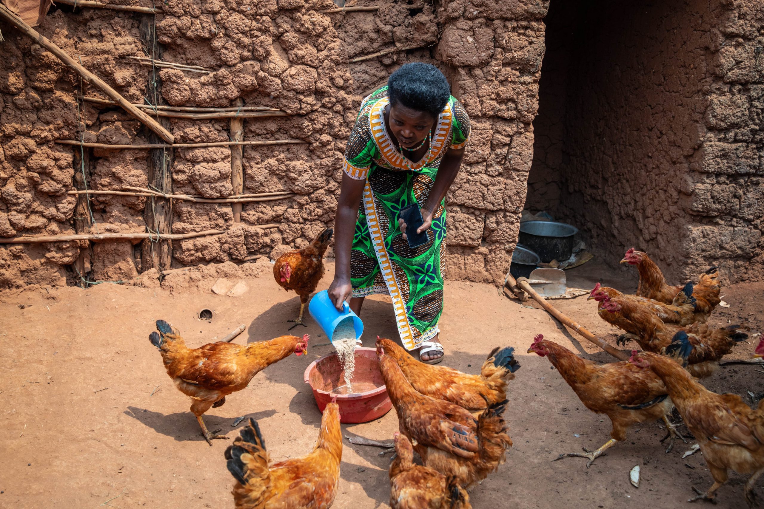 Rwanda - vrouw voert kippen
