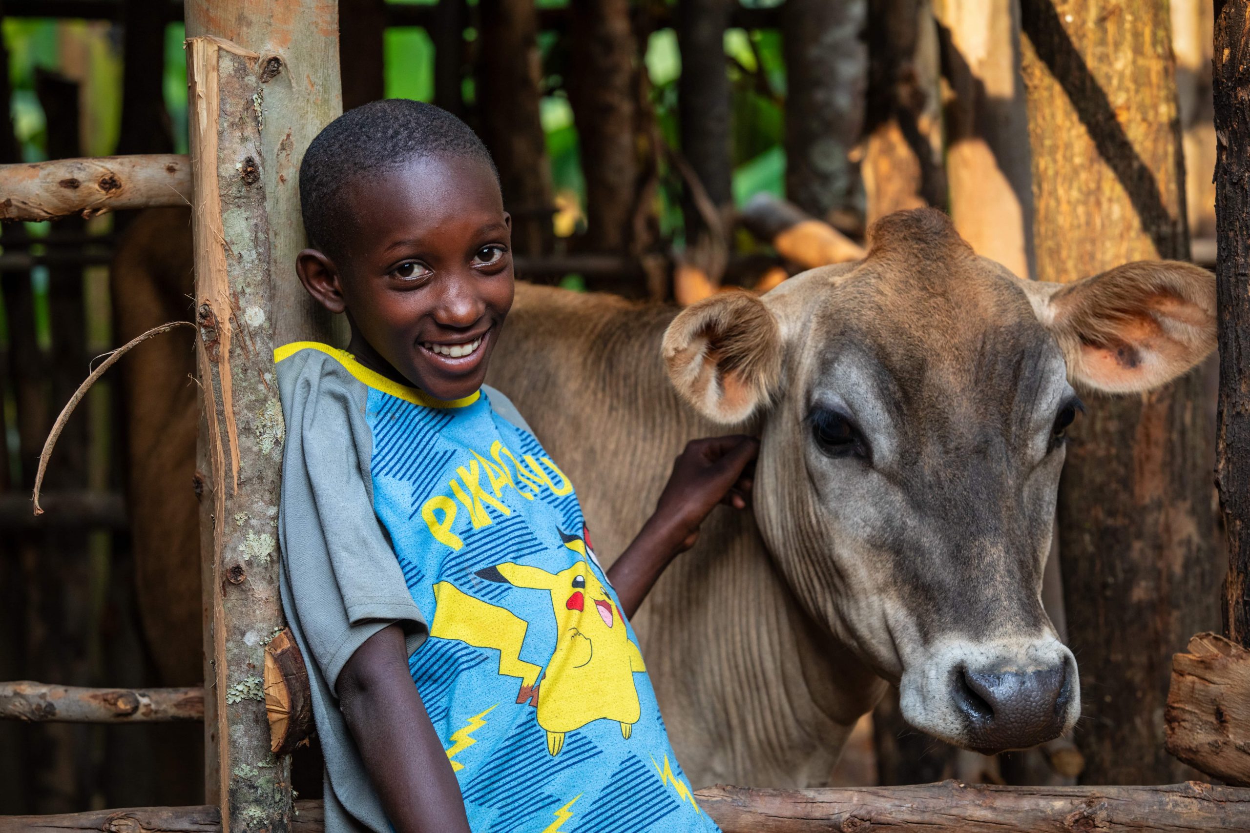 Rwanda, kind bij koe